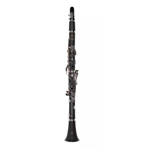 CLARINETE MICHAEL WCLM30N SIB 17 CHAVES