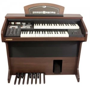 ORGO TOKAI MD 5 EVO WENGUE
