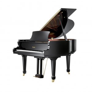PIANO RITMULLER 1/4 CAUDA RS160 PRETO