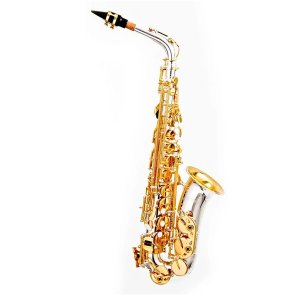 SAX ALTO HOYDEN HAS-50 PG PRATA COM CHAVES DOURADA MIB