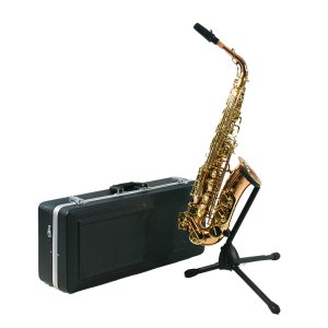 SAX ALTO SEBASTIAN SSA-AX818QSN