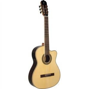 VIOLO TAGIMA WS-10 EQ NYLON CUTAWAY