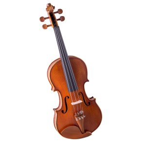 VIOLINO HOYDEN VHI-441N 4/4 FOSCO NATURAL