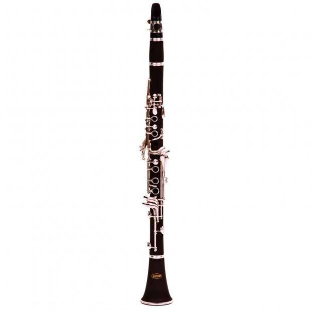 CLARINETE HOYDEN SIB FOSCA HCL-25F