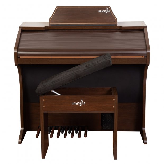 ORGO HARMONIA HS 300 MARROM