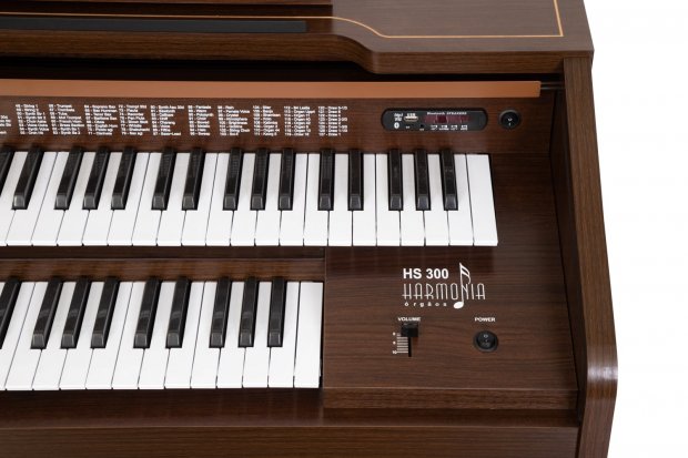 ORGO HARMONIA HS 300 MARROM
