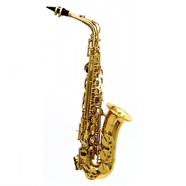 SAX ALTO HOYDEN LAQUEADO HAS-25L