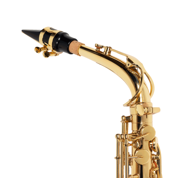 SAX ALTO MICHAEL WASM30N LAQUEADO