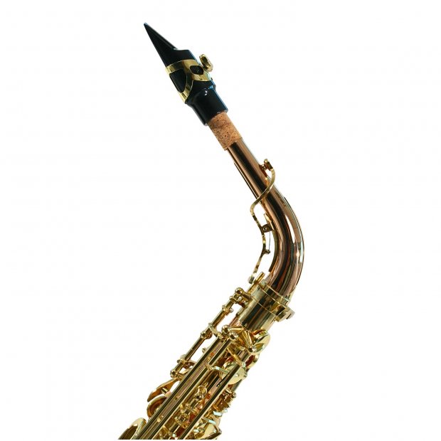 SAX ALTO SEBASTIAN SSA-AX818QSN