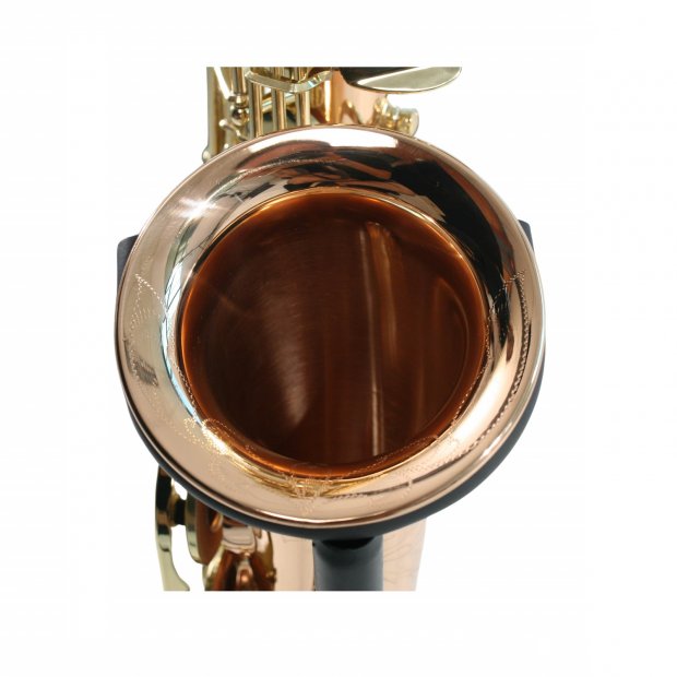 SAX ALTO SEBASTIAN SSA-AX818QSN