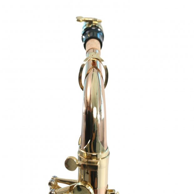 SAX ALTO SEBASTIAN SSA-AX818QSN