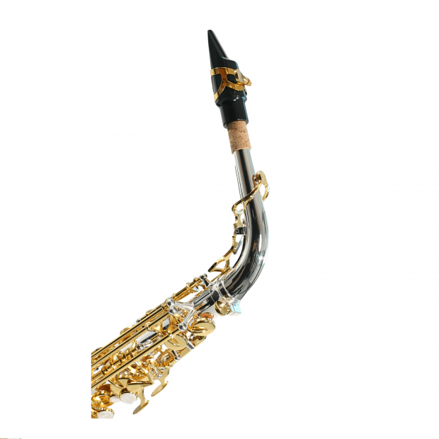 SAX ALTO SEBASTIAN SSA-AX818SG
