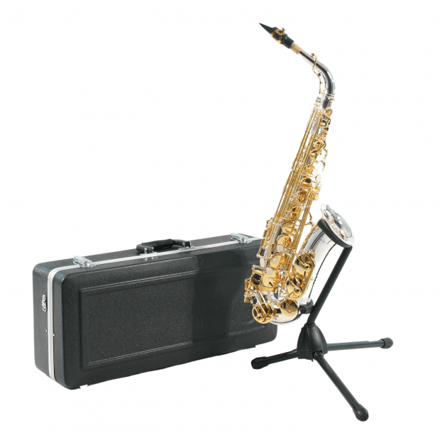 SAX ALTO SEBASTIAN SSA-AX818SG