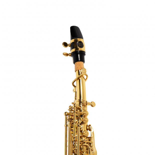 SAX SOPRANO MICHAEL WSSM30N LAQUEADO