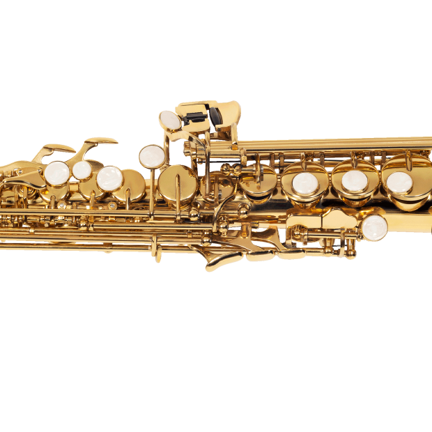 SAX SOPRANO MICHAEL WSSM30N LAQUEADO
