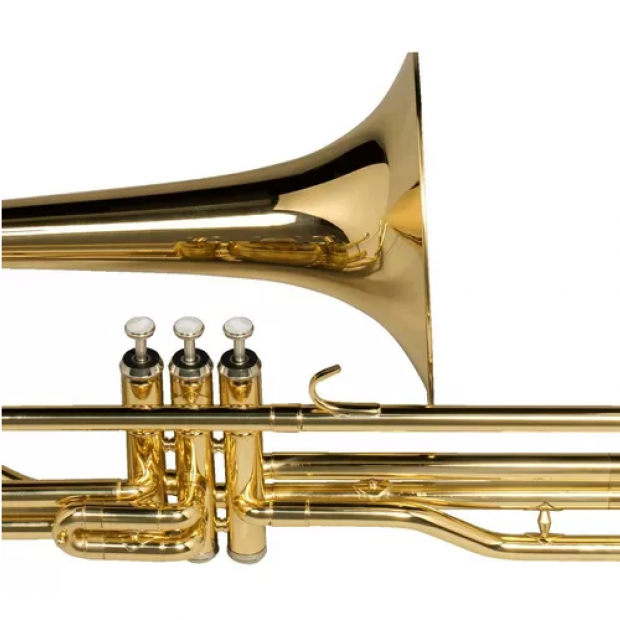 TROMBONE DE PISTO MICHAEL WTPM35N