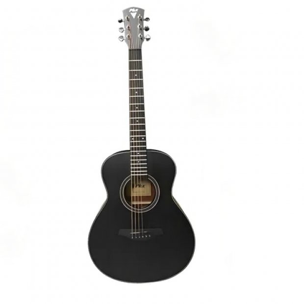 VIOL�O ELETRICO TRAVELLER A�O PX-36 PRETO FOSCO