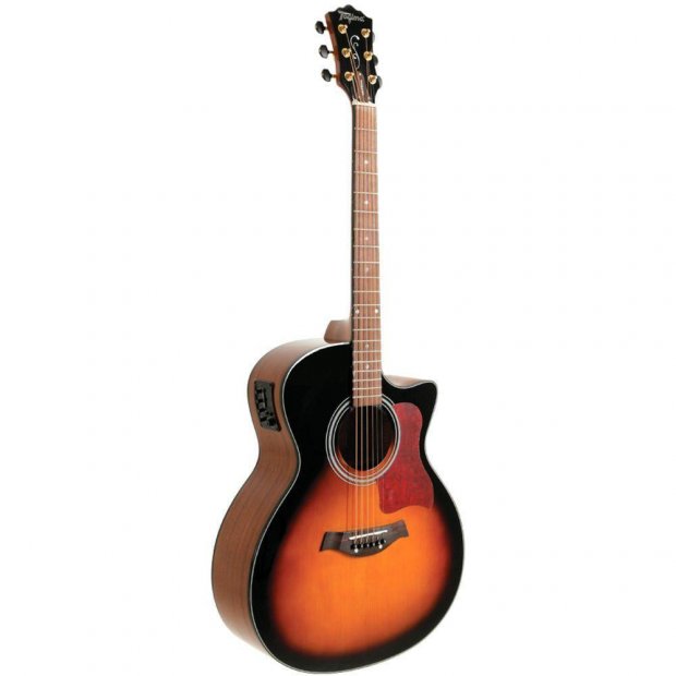 VIOLO TAGIMA CALIFORNIA SUNBURST