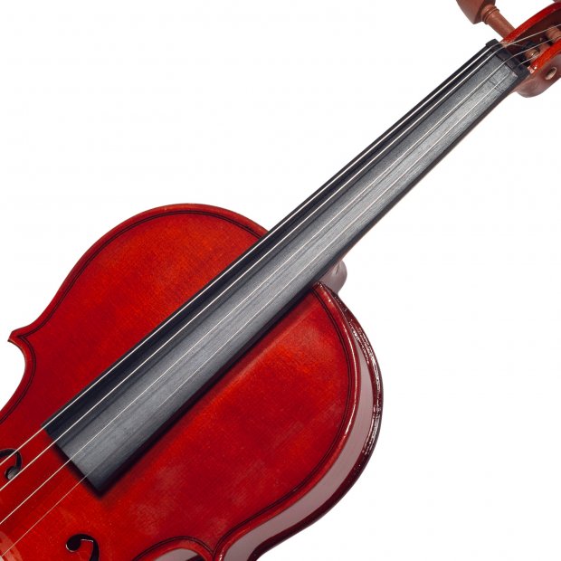 VIOLINO MICHAEL VNM146 4/4 ENVERNIZADO