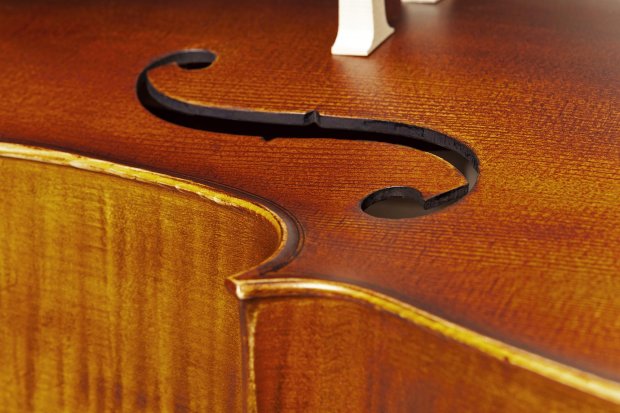 VIOLONCELO EAGLE CE 210 4/4